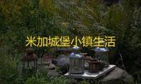 米加城堡小镇生活