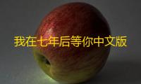 我在七年后等你中文版